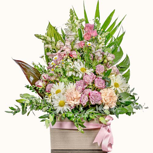 Pink and white 'Cotton Candy' flowers in a box with ribbon