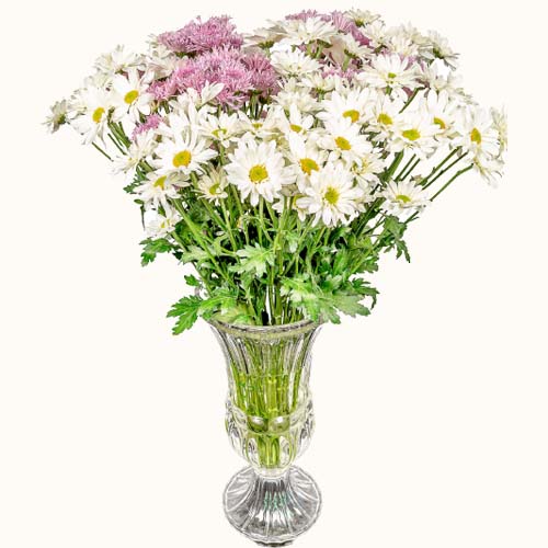 White and pink 'Dainty Duet' flowers in a small glass vase