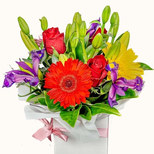 Multicoloured 'Fierce Oasis' flowers in a small box with ribbon