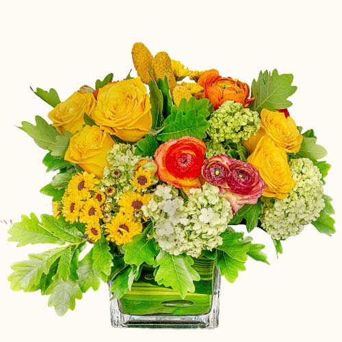 Yellow and orange 'Gold Rush' flowers in a small glass vase