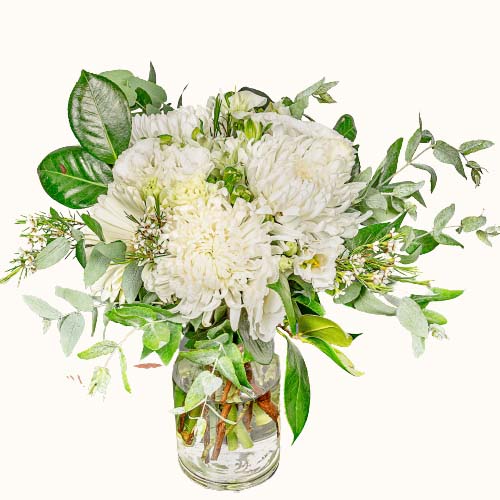 White 'Snowy Elegance' flowers in a small glass vase