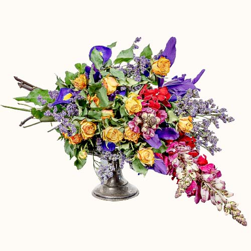 Multicoloured 'Sugar Plum Kisses' flowers on a small chalice